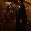 Shang-Chi and the Legend of the Ten Rings Meng'er Zhang Coat