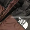 The North Face Mens Puffer Hooded Jacket