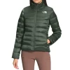 North Face Down Jacket For Sale